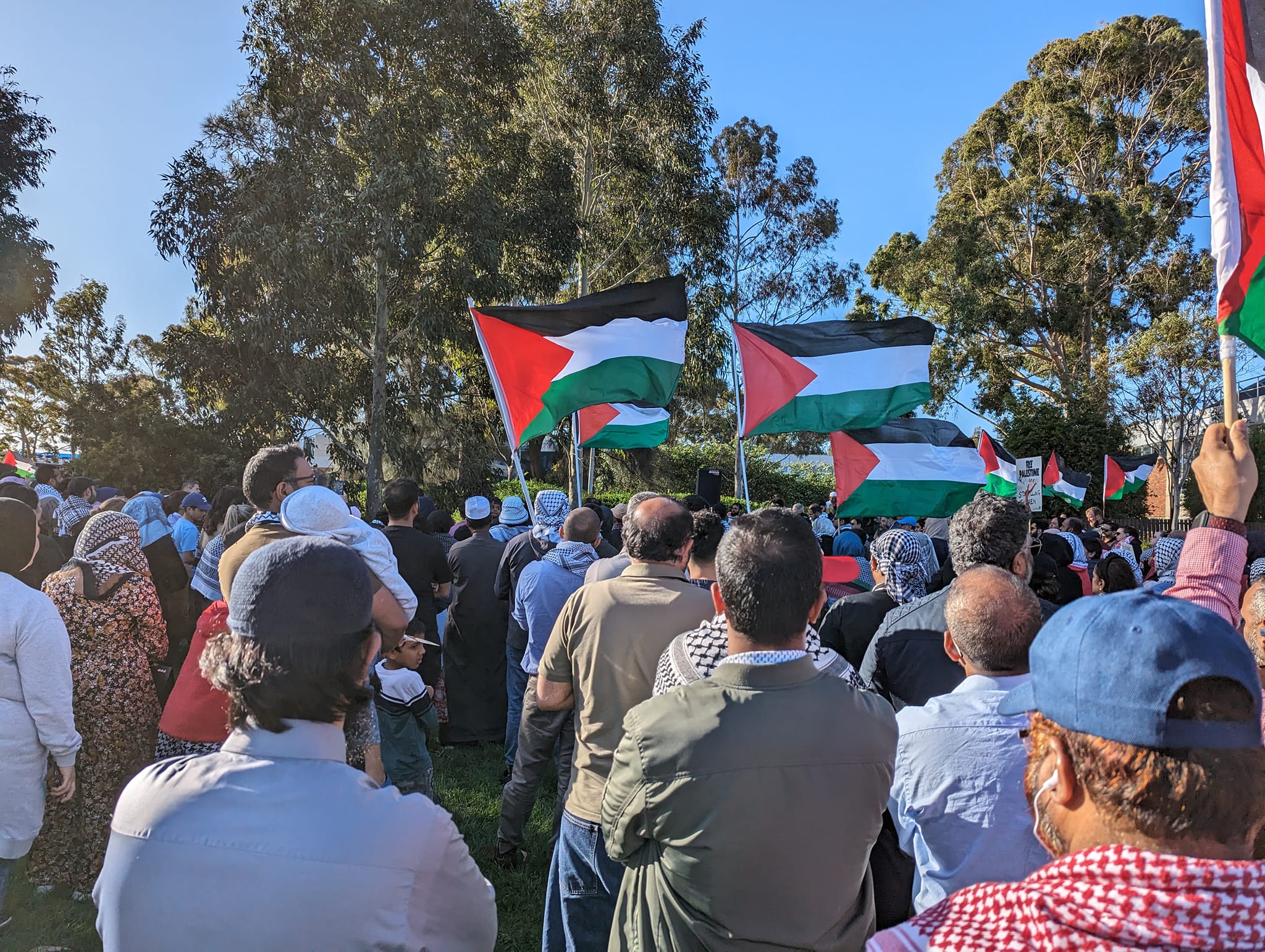 Palestine solidarity protest at Wyndham council